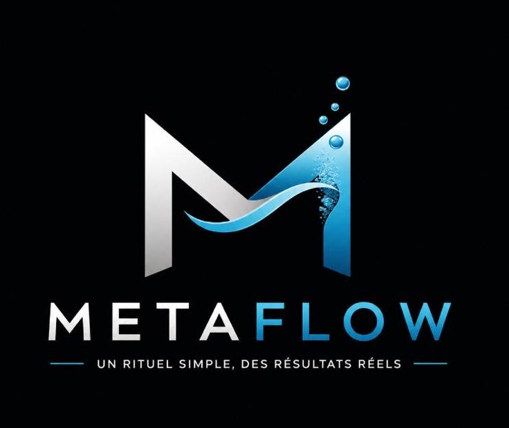 Logo MetaFlow